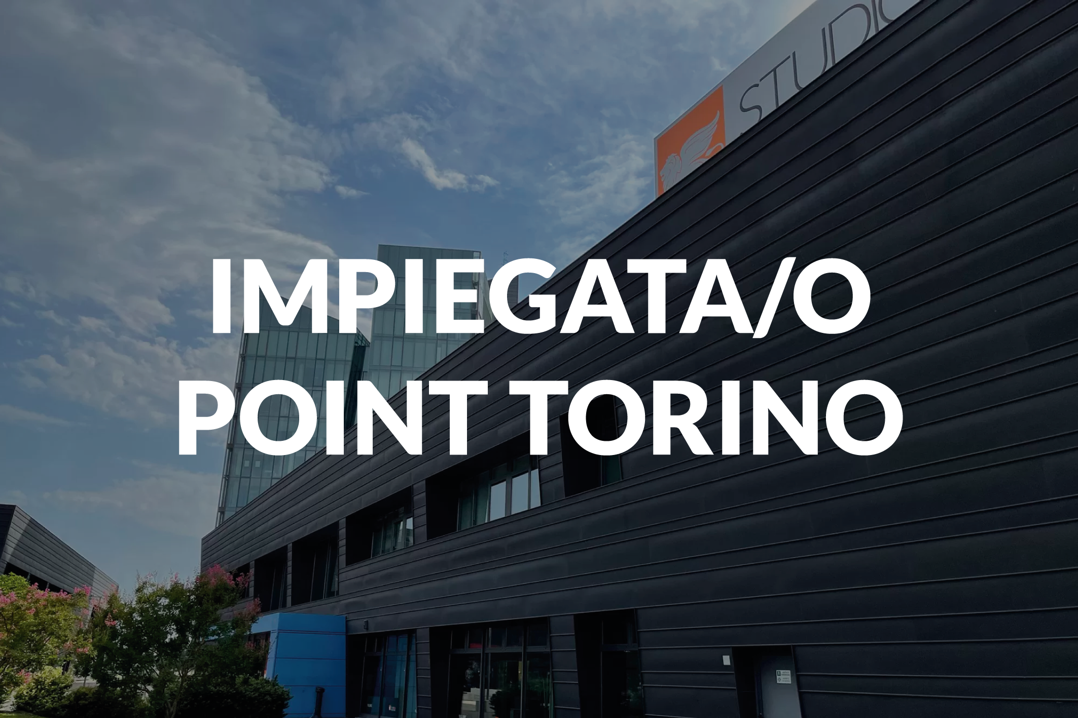 IMPIEGATA/O POINT TORINO
