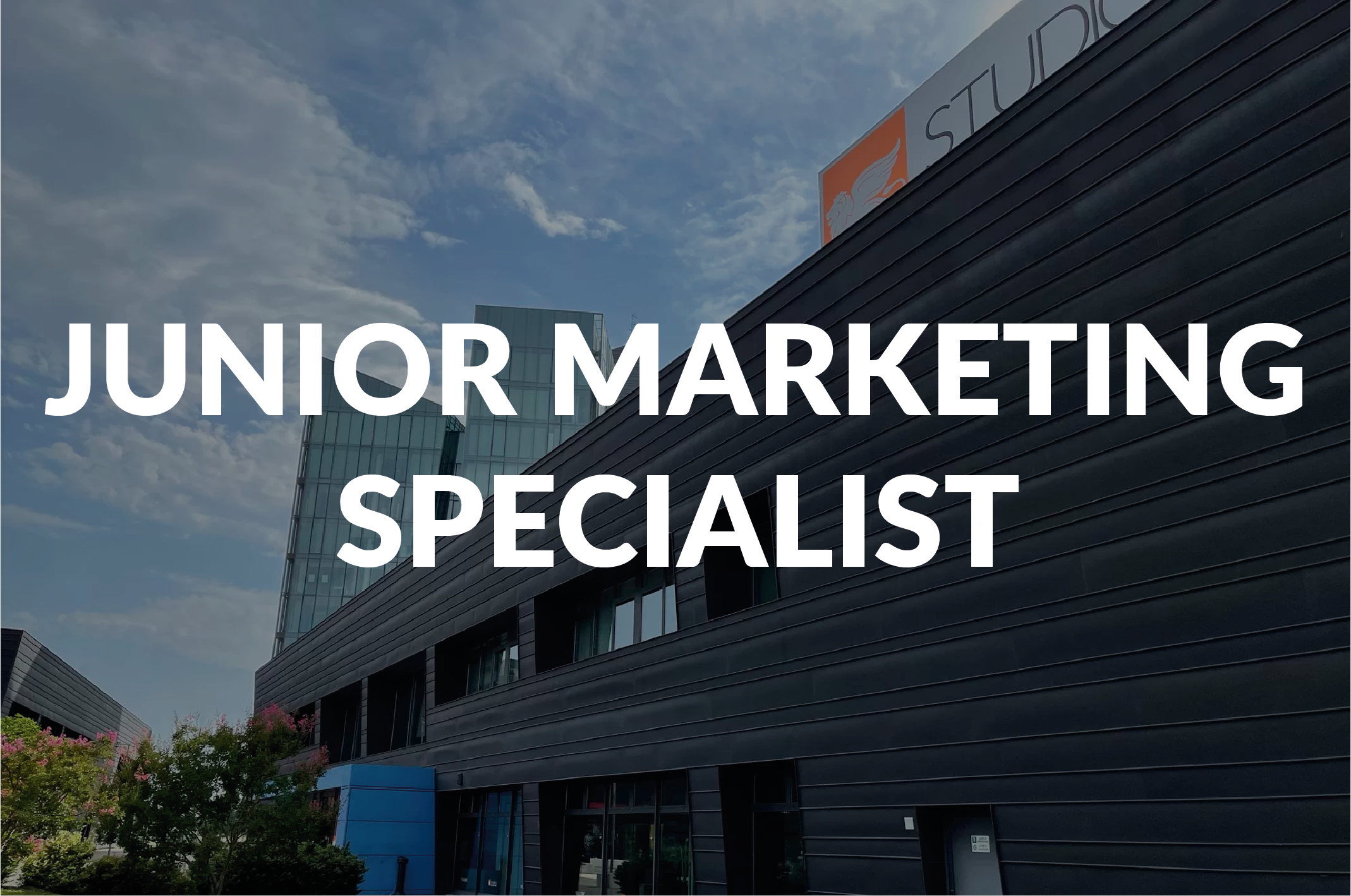 JUNIOR MARKETING SPECIALIST