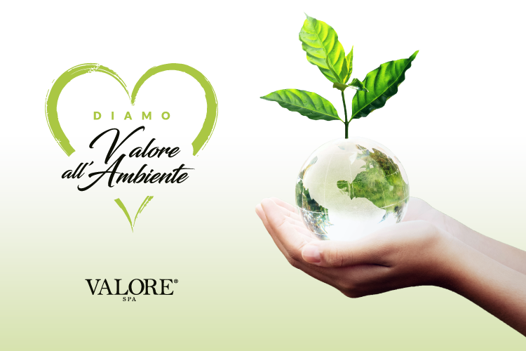 Diamo Valore all'Ambiente